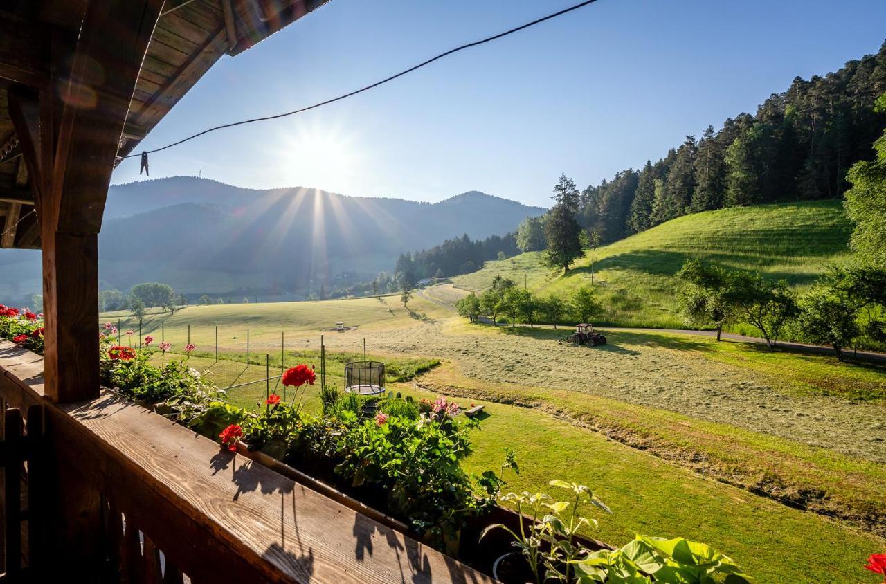 Gospodarstwo agroturystyczne Blumbauernhof Gutach