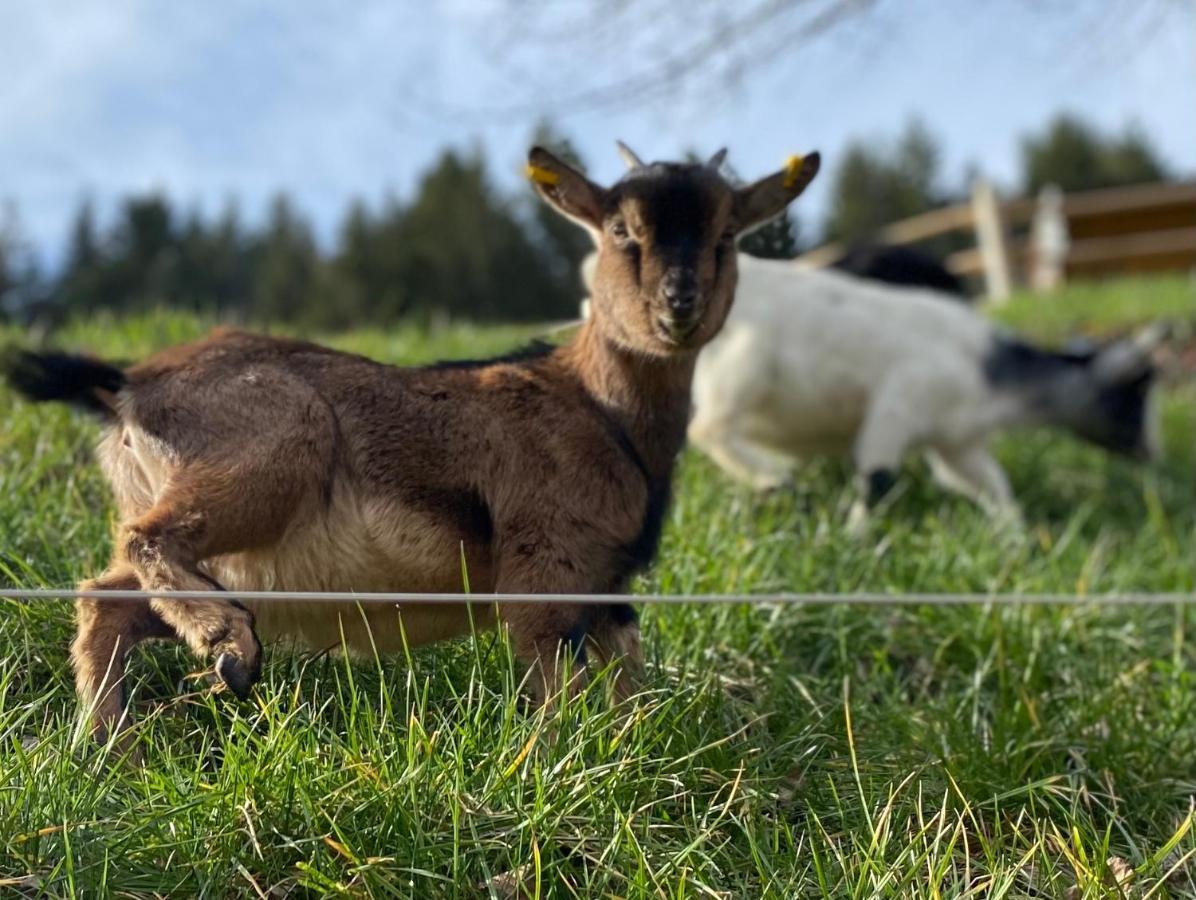Blumbauernhof * Gutach