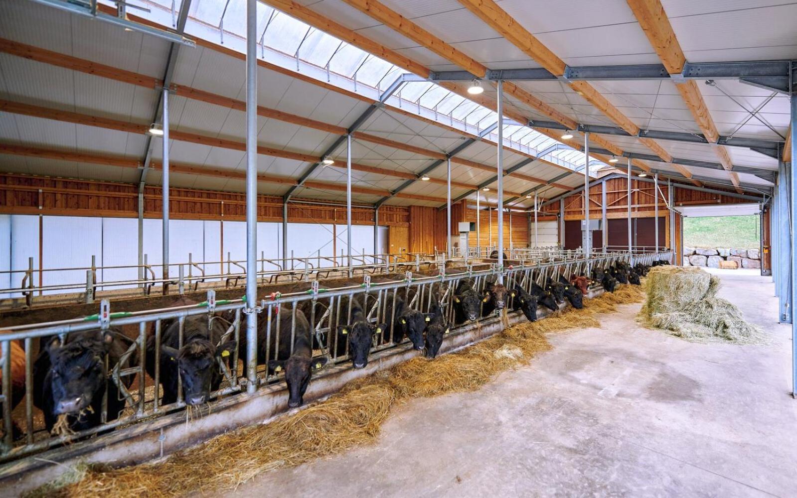 Bauernhof Blumbauernhof